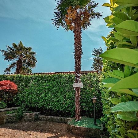 Casa Victoria Villa Castelletto sopra Ticino Eksteriør billede